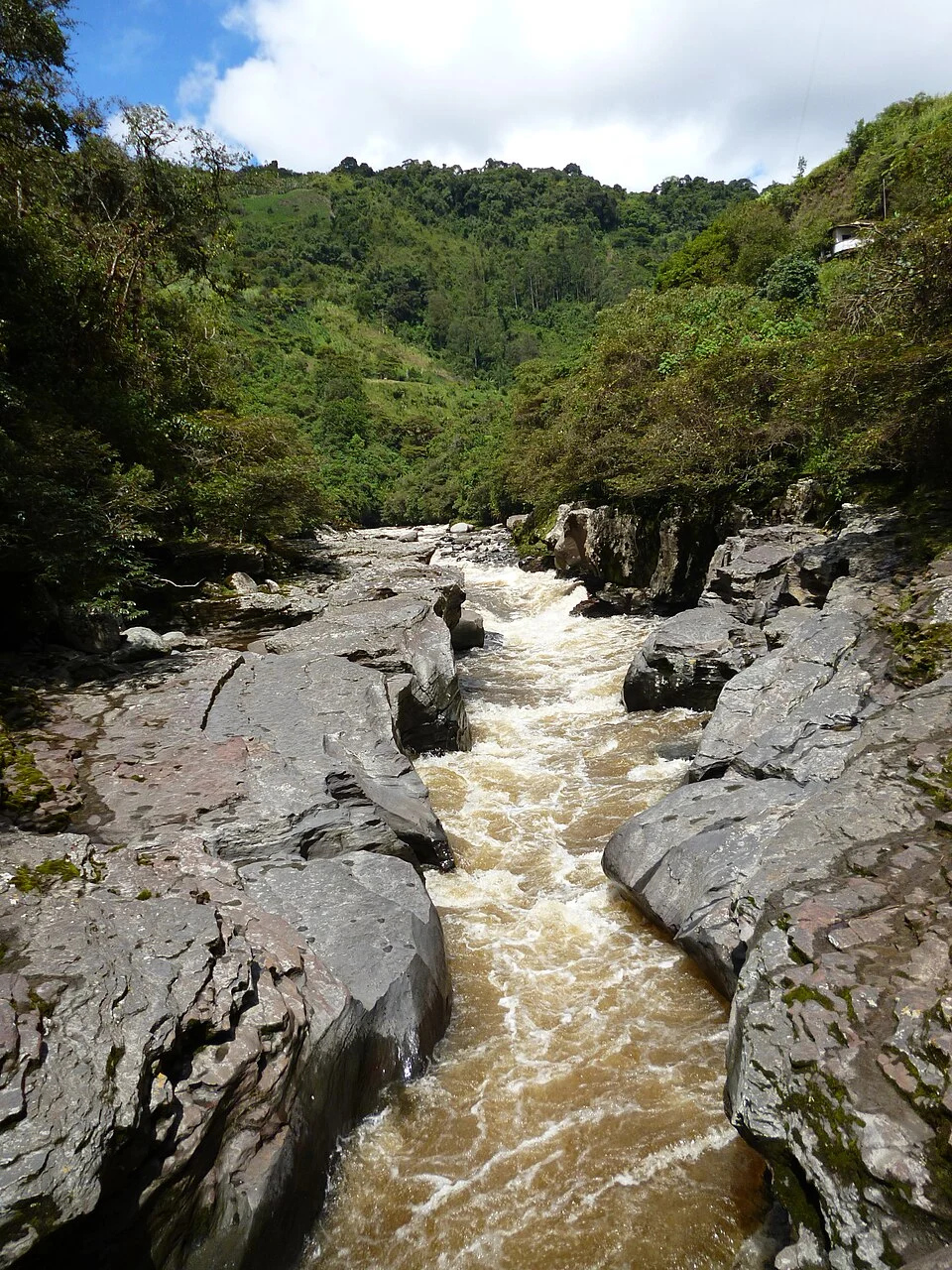 Río_Magdalena_a_su_paso_por_San_Agustín