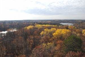 Itasca State Park from the fire tower