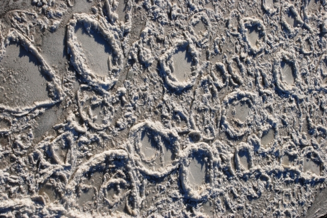 Circles formed in the ice sheet in the Mississippi River above the Chain of Rocks