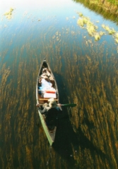 Near Iron Bridge Landing (MN)