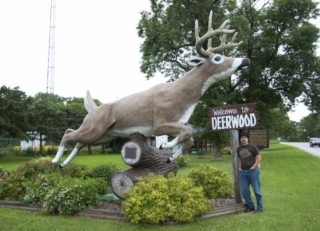 Deerwood, MN
