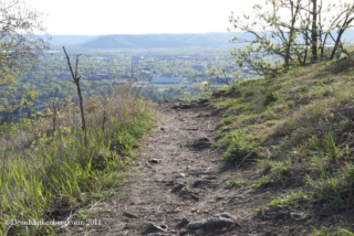 Hixon Forest Lookout Point; La Crosse, WI