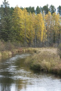 Fall along the upper, Upper Miss; near Stumphges Rapids