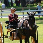 tn_PdC Carriage Classic15