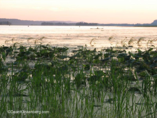 Potosi Point, WI