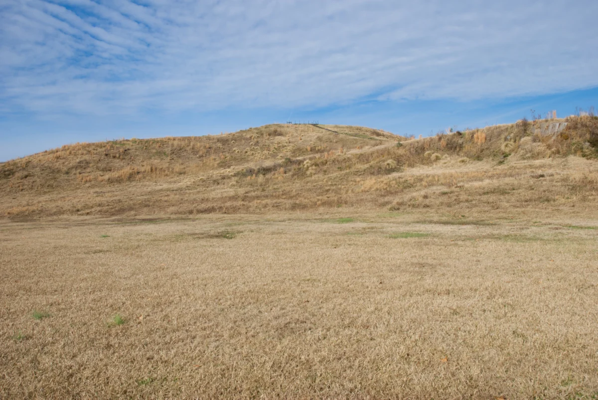 Poverty Point LA