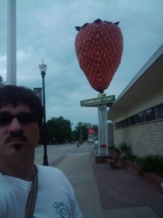 Strawberry Point, IA