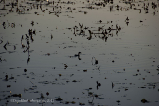 Trempealeau National Wildlife Refuge (WI)