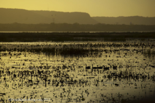 Trempealeau National Wildlife Refuge (WI)